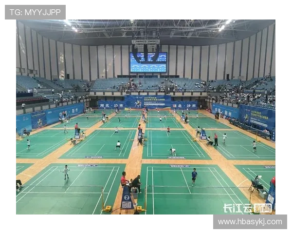 武汉羽毛球队在锦标赛中的比赛经验与表现分析及启示