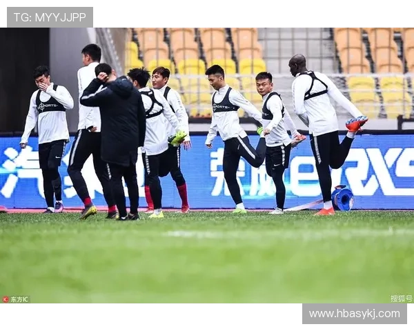 武汉羽毛球队灵活性分析：从战术到训练的全面探讨与实践