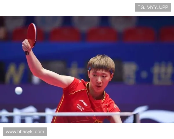 西安排球队战术深度对比与独特解析分析